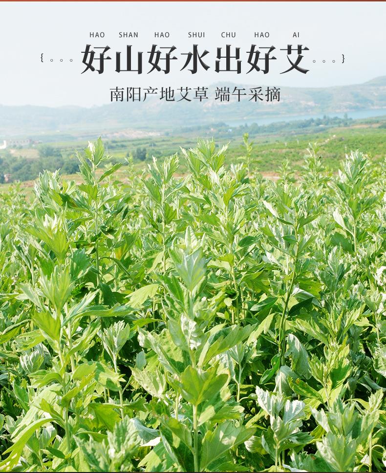 妙艾堂7cm粗艾條 加粗大號艾灸館大艾條大炮灸 艾灸條南陽(yáng)廠(chǎng)家