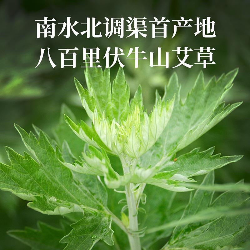 批發(fā)1kg純艾草粉 60-120目艾葉養殖飼料泡腳包原料艾粉大量現貨